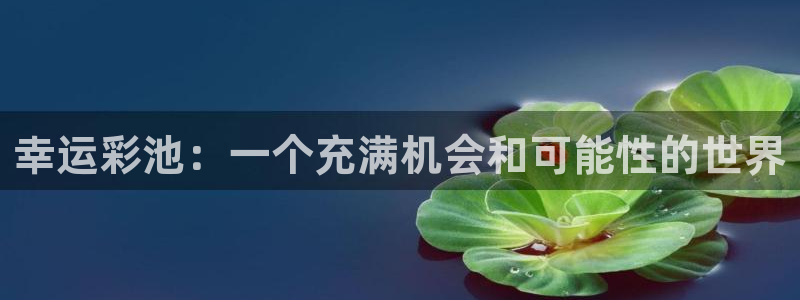 2元网3d走势图：幸运彩池：一个充满机会和可能性的世界
