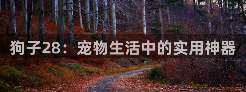 3d和值走势图2元网：狗子28：宠物生活中的实用神器