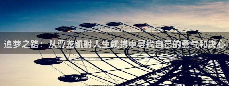 2元网河南二十二