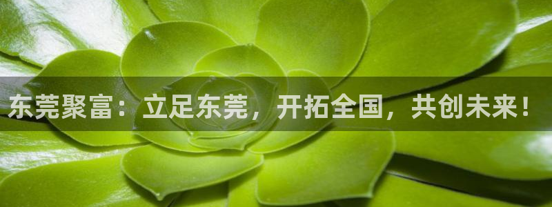 2元网河南二十二选五开奖号码