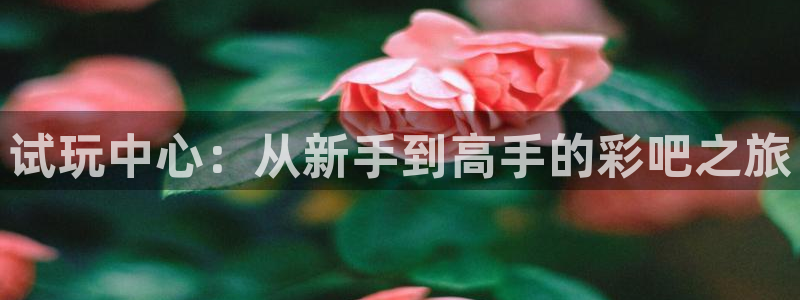 3d连线走势图2元网：试玩中心：从新手到高手的彩吧之旅