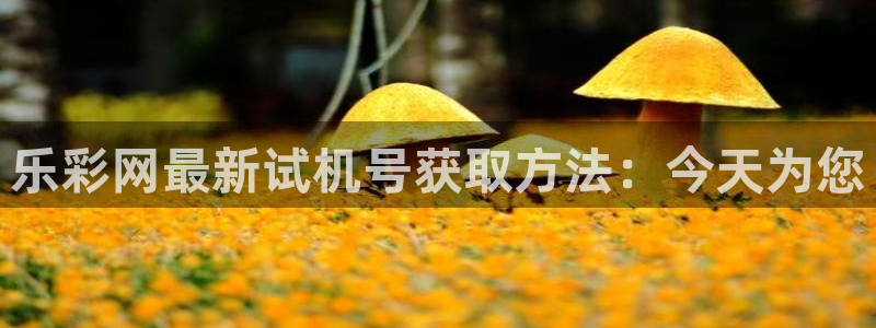 2元网：乐彩网最新试机号获取方法：今天为您