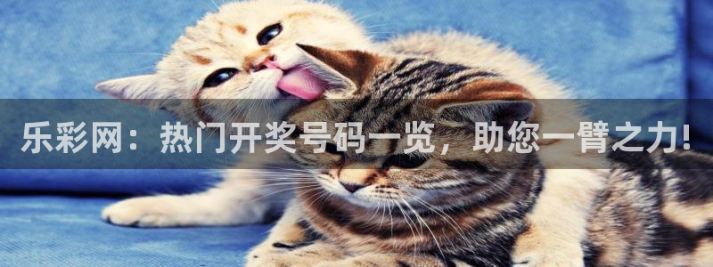 3d连线走势图2元网：乐彩网：热门开奖号码一览，助您一臂之力!