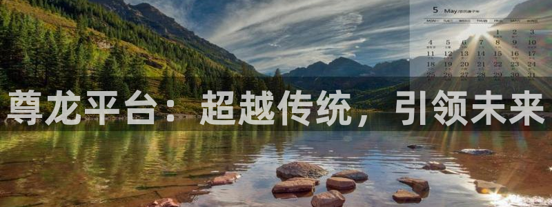 2元网河南二十二：尊龙平台：超越传统，引领未来