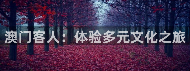 2元网河南二十二：澳门客人：体验多元文化之旅