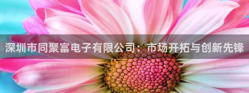 2元彩票官网：深圳市同聚富电子有限公司：市场开拓与创新先锋